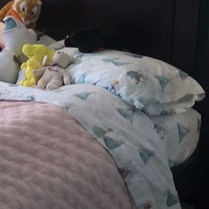 Pottery Barn Frozen Cotton Full Size Sheets